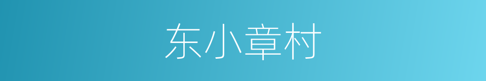 东小章村的同义词