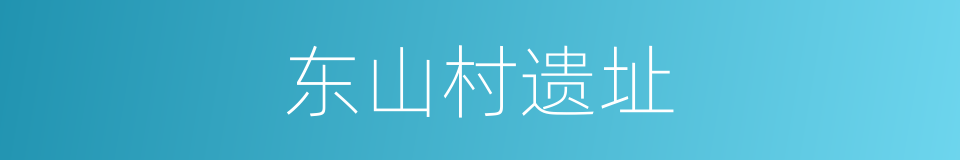 东山村遗址的同义词