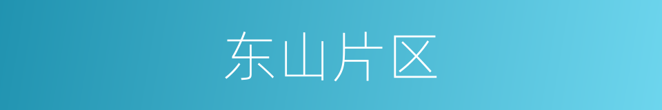 东山片区的同义词