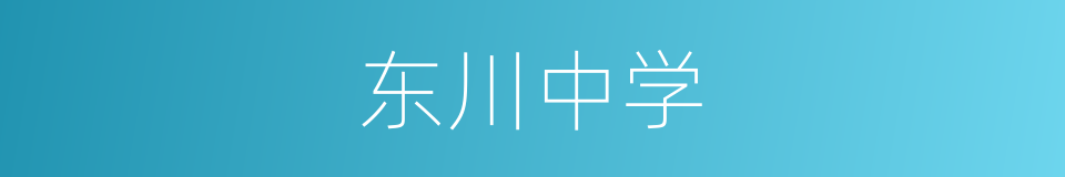 东川中学的同义词