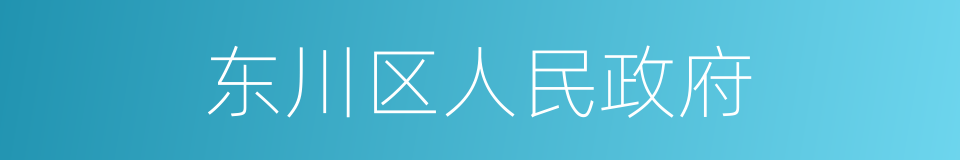 东川区人民政府的同义词