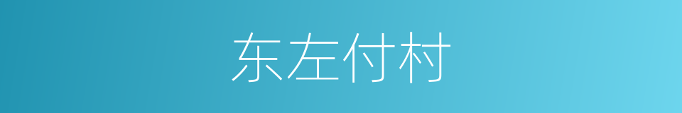 东左付村的同义词