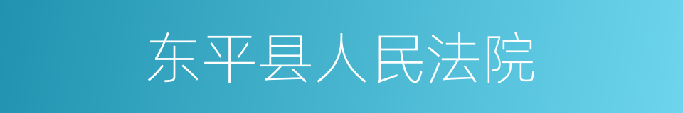 东平县人民法院的同义词