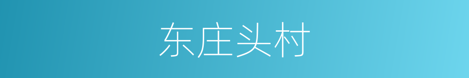 东庄头村的同义词