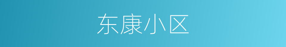 东康小区的同义词