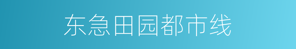 东急田园都市线的同义词