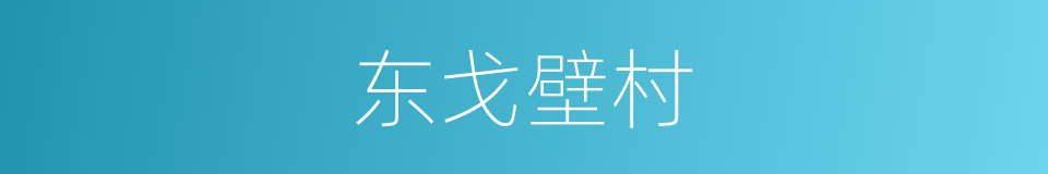 东戈壁村的同义词