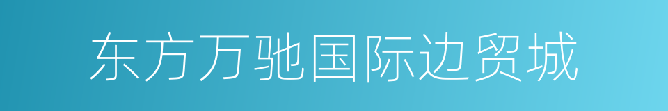 东方万驰国际边贸城的同义词