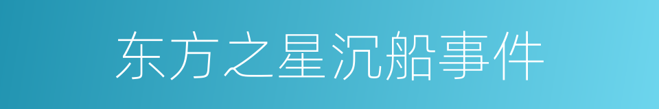 东方之星沉船事件的同义词