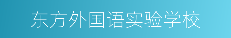 东方外国语实验学校的同义词