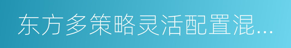 东方多策略灵活配置混合型证券投资基金的同义词