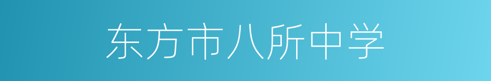 东方市八所中学的同义词