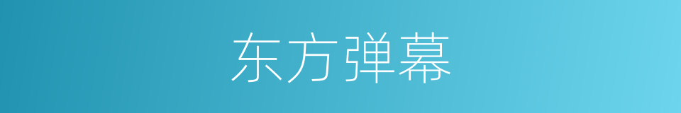 东方弹幕的同义词