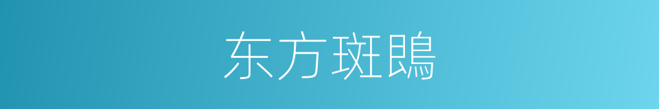 东方斑鵖的同义词