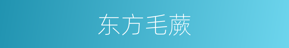 东方毛蕨的同义词