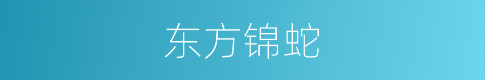 东方锦蛇的同义词