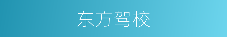东方驾校的同义词