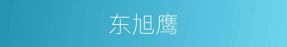 东旭鹰的同义词