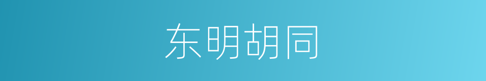 东明胡同的同义词