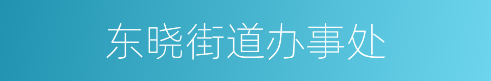 东晓街道办事处的同义词