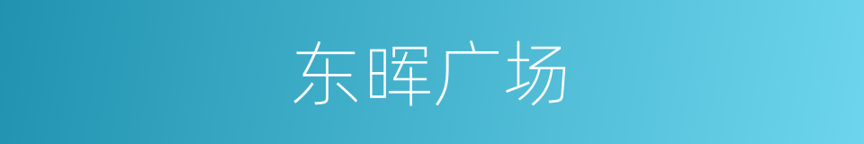 东晖广场的同义词