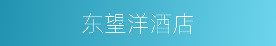 东望洋酒店的同义词