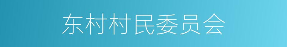 东村村民委员会的同义词