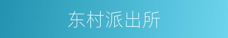 东村派出所的同义词