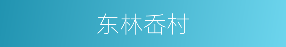 东林岙村的同义词