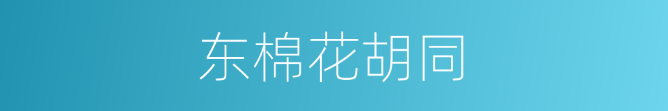 东棉花胡同的同义词