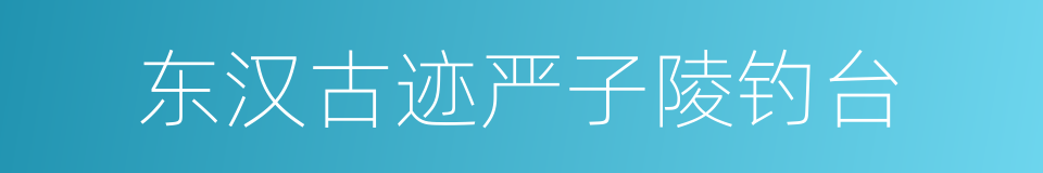 东汉古迹严子陵钓台的同义词