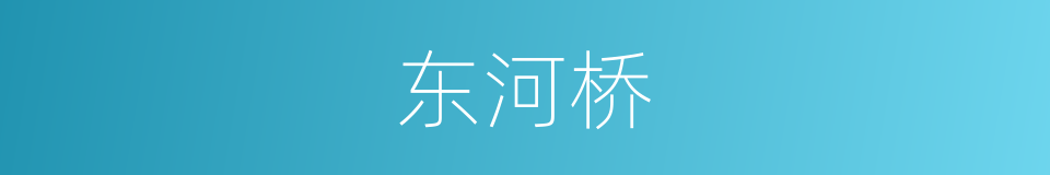 东河桥的同义词