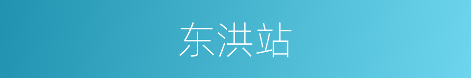 东洪站的同义词