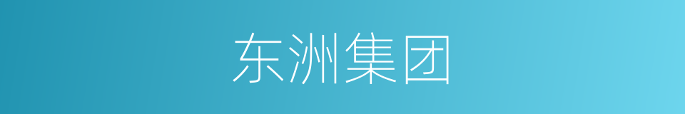 东洲集团的同义词