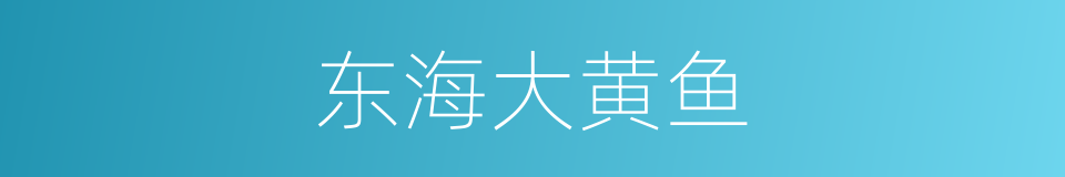 东海大黄鱼的同义词