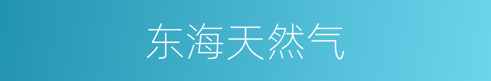 东海天然气的同义词