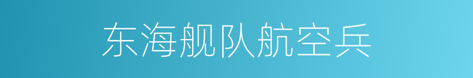 东海舰队航空兵的同义词