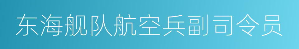 东海舰队航空兵副司令员的同义词