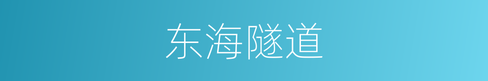 东海隧道的同义词
