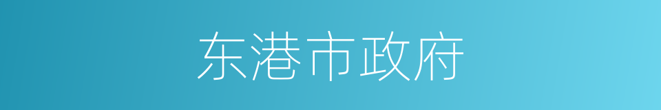 东港市政府的同义词