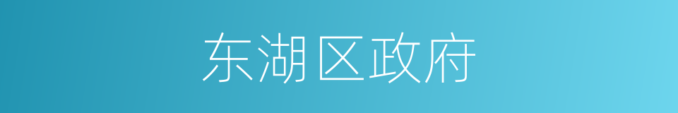 东湖区政府的同义词