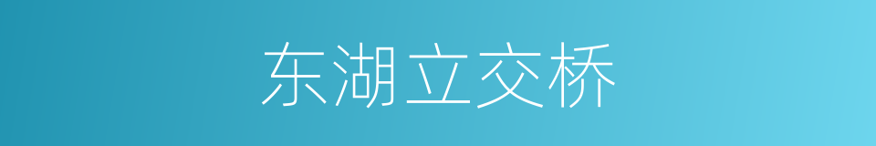东湖立交桥的同义词