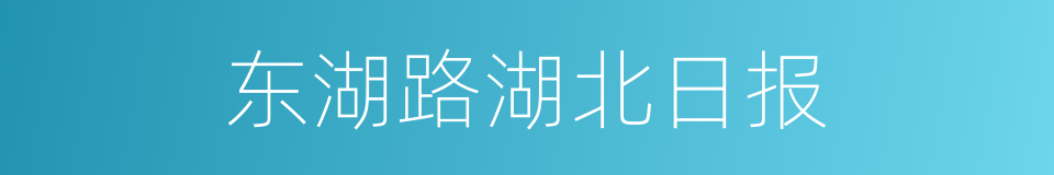 东湖路湖北日报的同义词