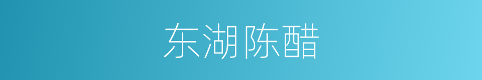东湖陈醋的同义词