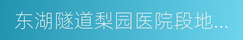 东湖隧道梨园医院段地面层辅道的同义词