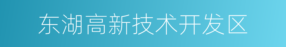 东湖高新技术开发区的同义词