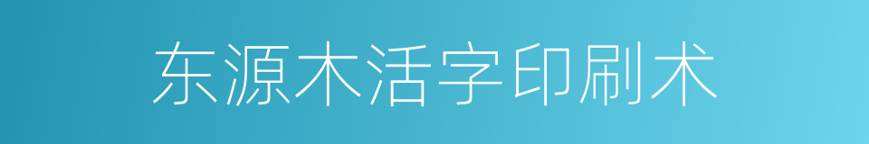 东源木活字印刷术的同义词