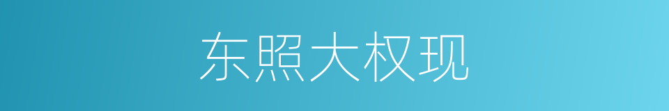 东照大权现的同义词