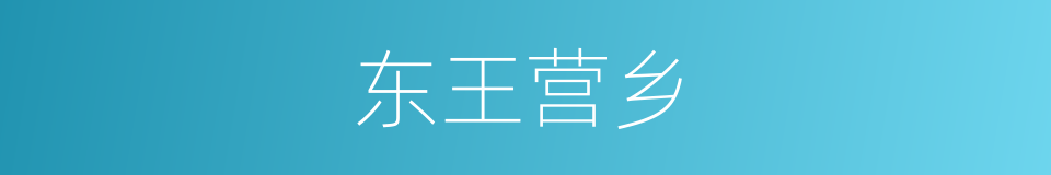 东王营乡的同义词