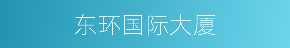 东环国际大厦的同义词